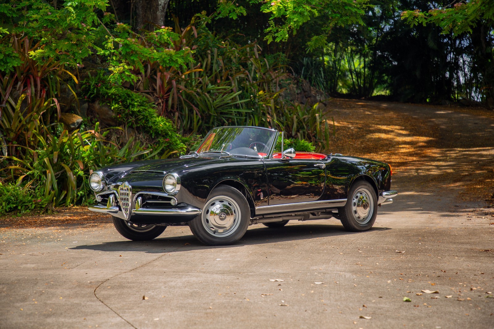 Alfa-Romeo-Giulia-1965-Convertible-2