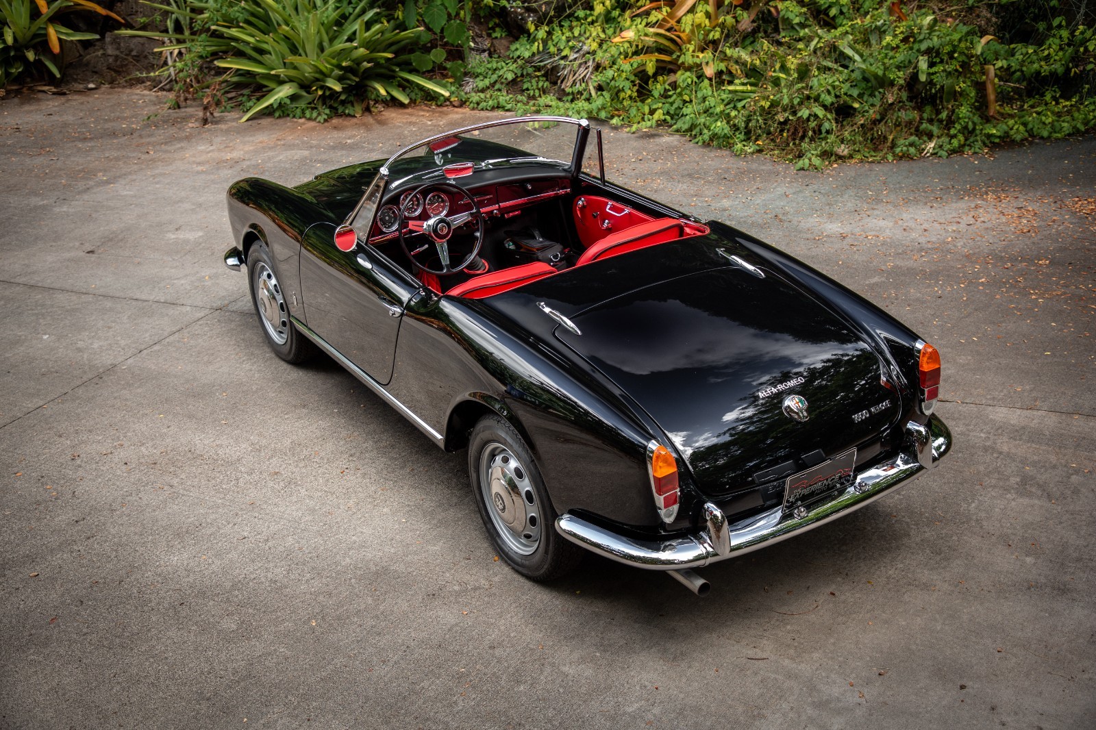 Alfa-Romeo-Giulia-1965-Convertible-3