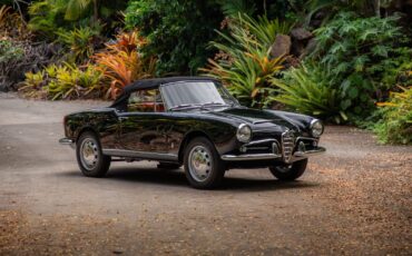 Alfa-Romeo-Giulia-1965-Convertible-35