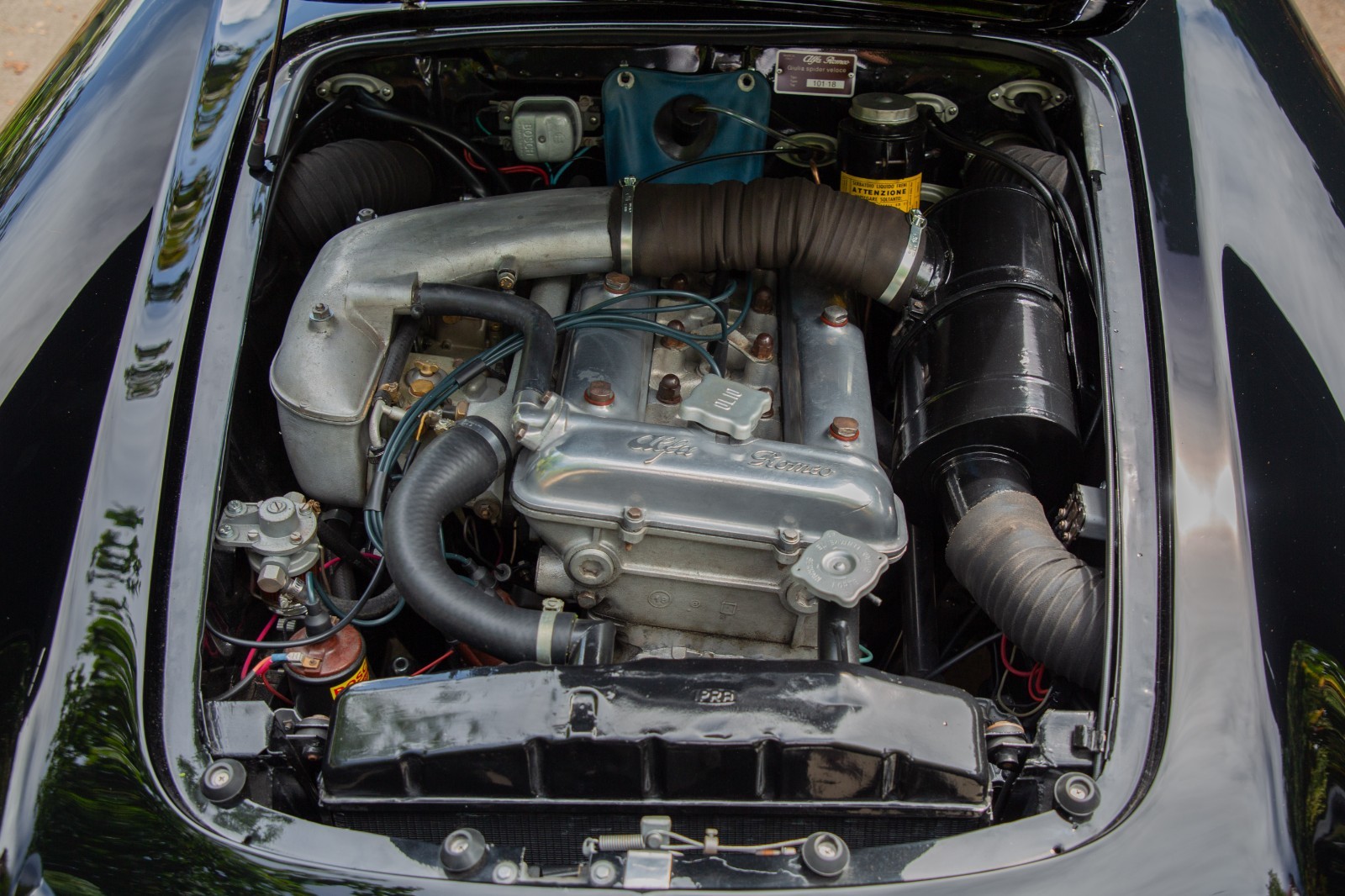 Alfa-Romeo-Giulia-1965-Convertible-37