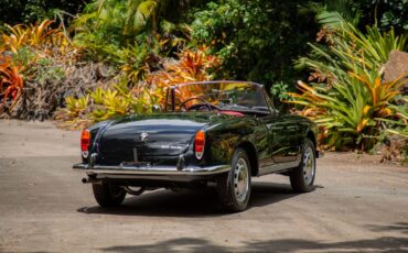 Alfa-Romeo-Giulia-1965-Convertible-4