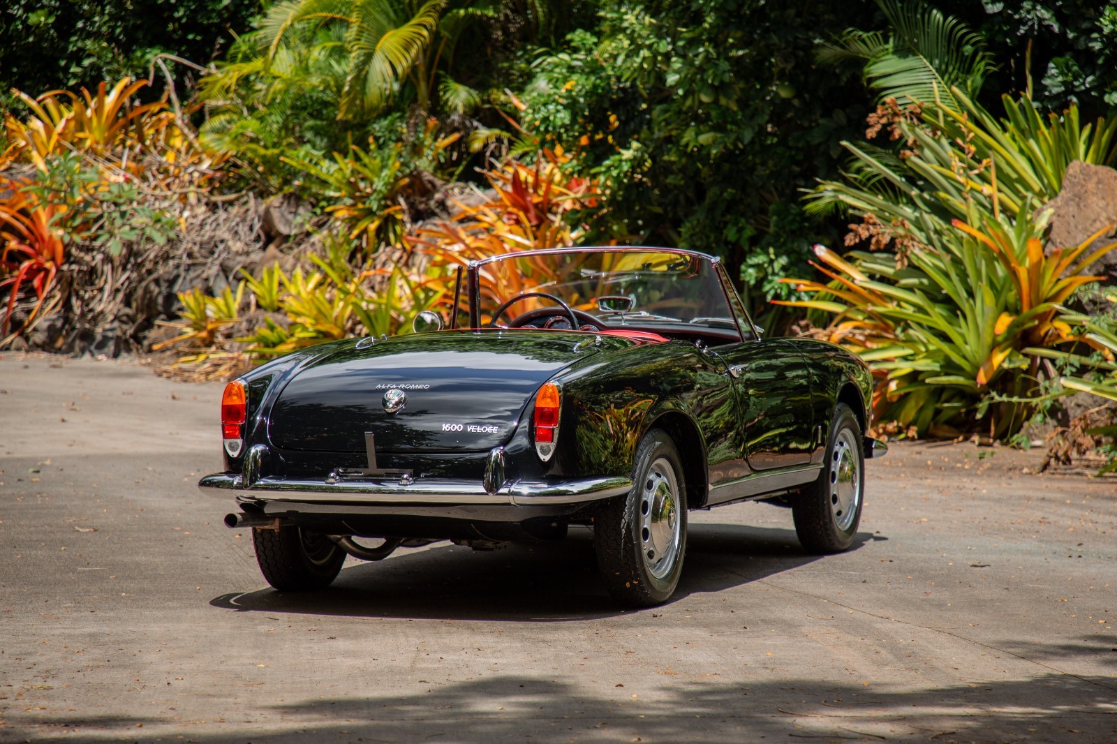 Alfa-Romeo-Giulia-1965-Convertible-4