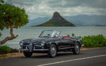 Alfa-Romeo-Giulia-1965-Convertible-5