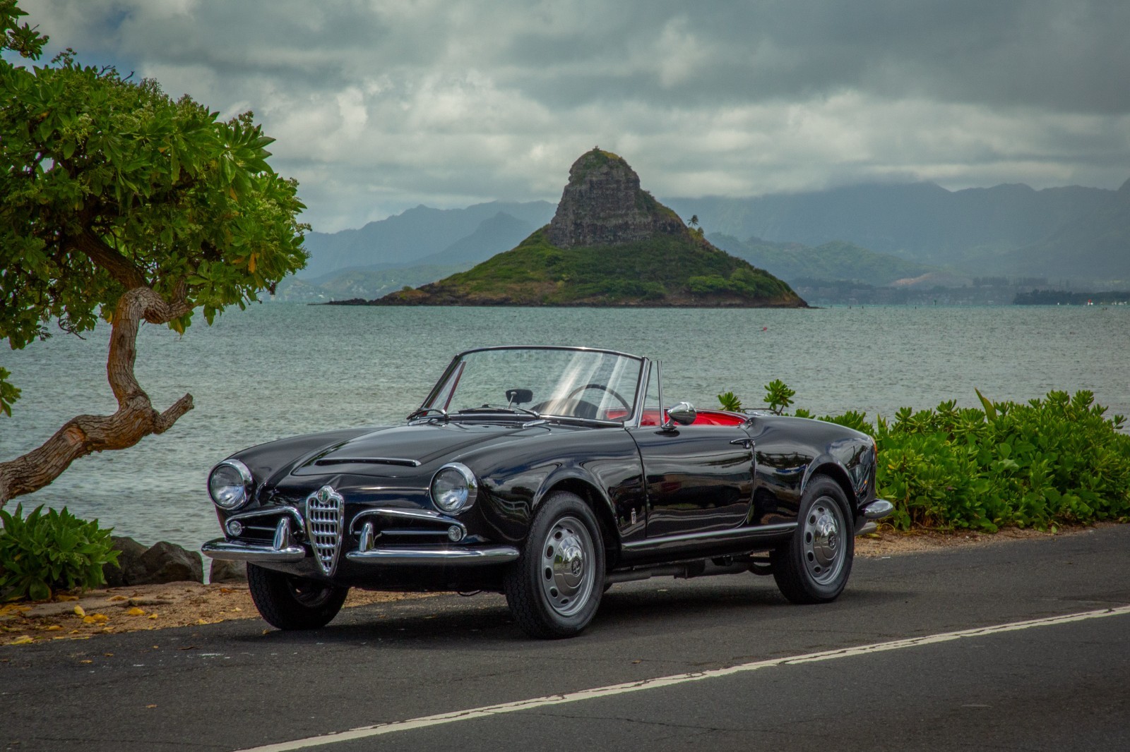 Alfa-Romeo-Giulia-1965-Convertible-5