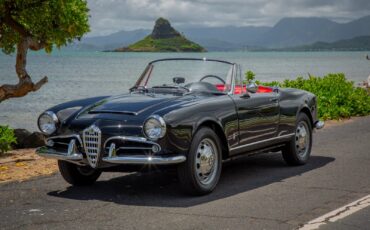 Alfa-Romeo-Giulia-1965-Convertible-6