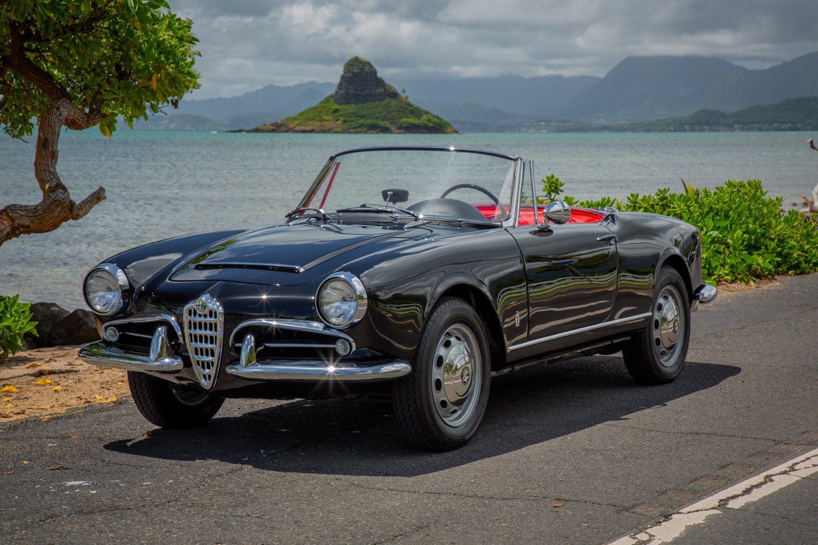 Alfa-Romeo-Giulia-1965-Convertible-6