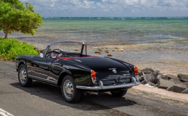 Alfa-Romeo-Giulia-1965-Convertible-7