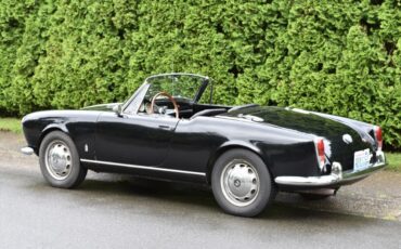 Alfa-Romeo-Spider-1962-Convertible-3