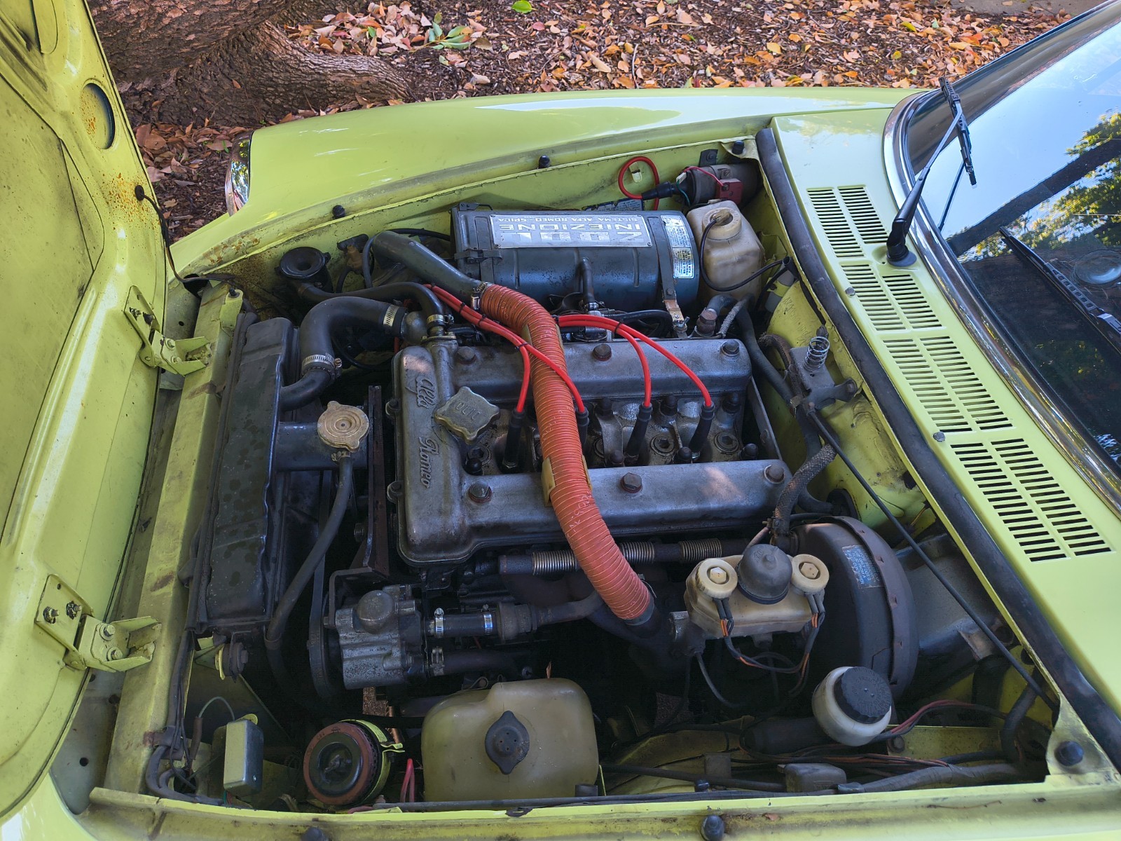 Alfa-Romeo-Spider-1977-Convertible-4