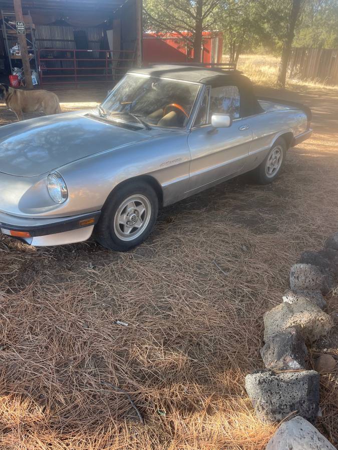 Alfa-romeo-spider-1985-silver