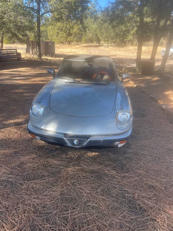 Alfa-romeo-spider-1985-silver-4