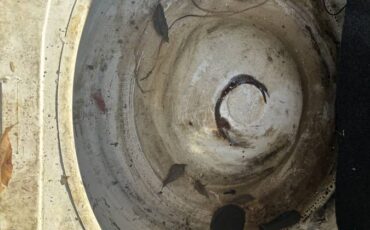 Alfa-romeo-spider-1986-10