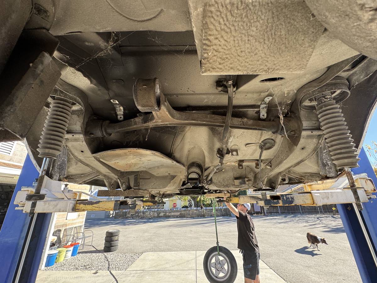 Alfa-romeo-spider-1986-4