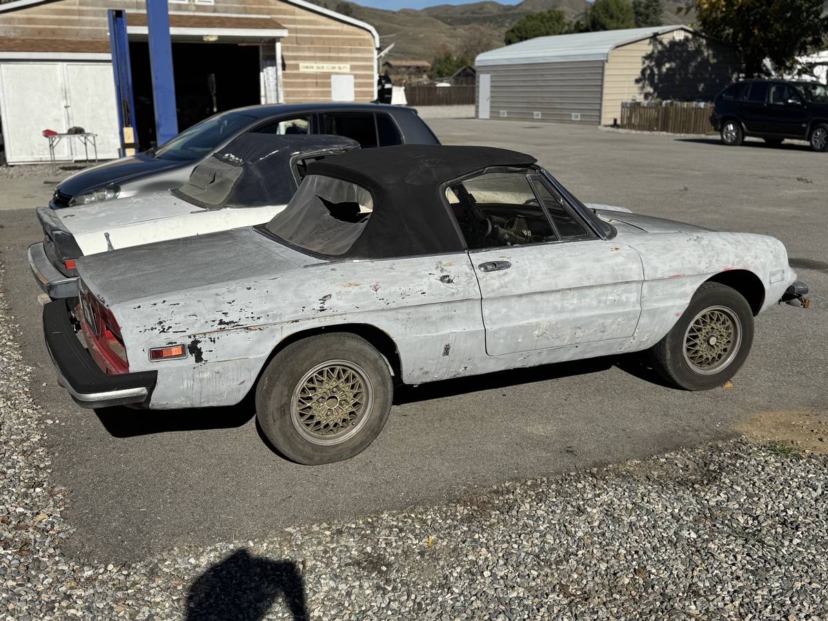 Alfa-romeo-spider-1986