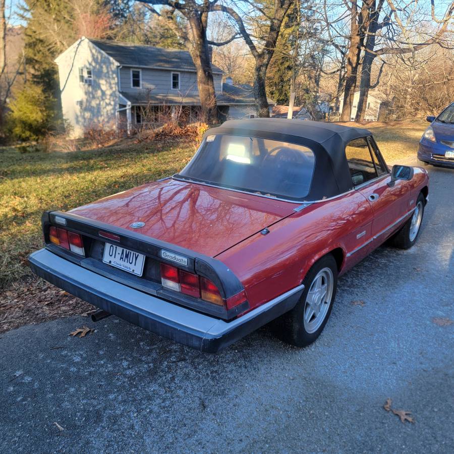 Alfa-romeo-spider-graduate-1988-red-8