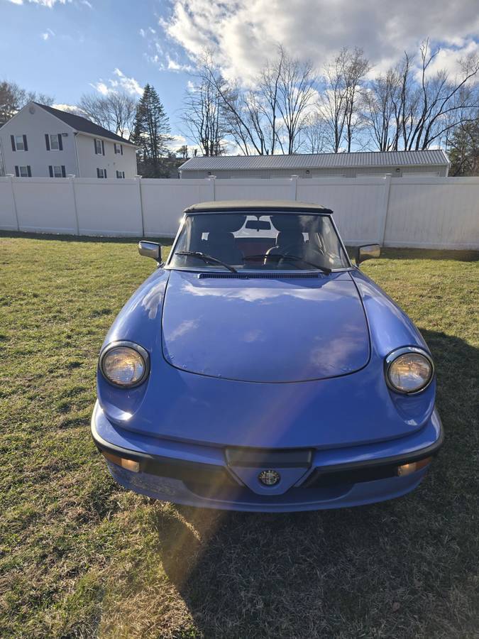 Alfa-romeo-spider-quadrifoglio-1987-blue-1