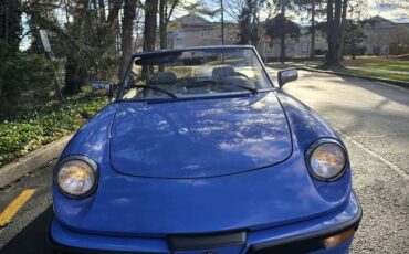 Alfa-romeo-spider-quadrifoglio-1987-blue-20