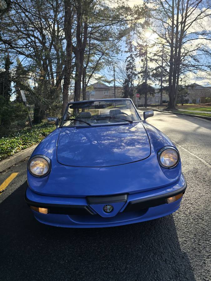 Alfa-romeo-spider-quadrifoglio-1987-blue-20