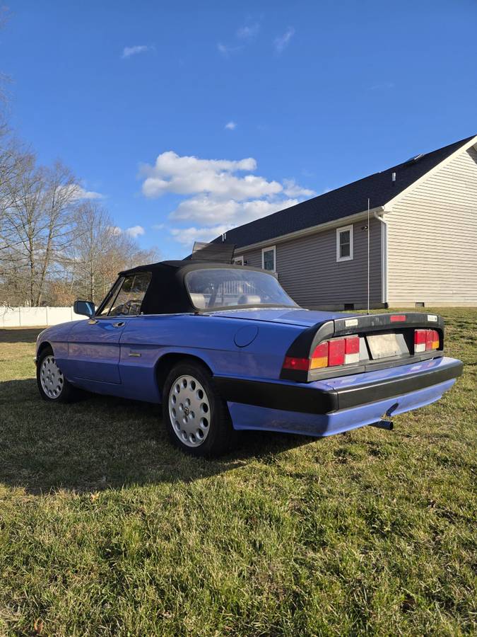 Alfa-romeo-spider-quadrifoglio-1987-blue-21