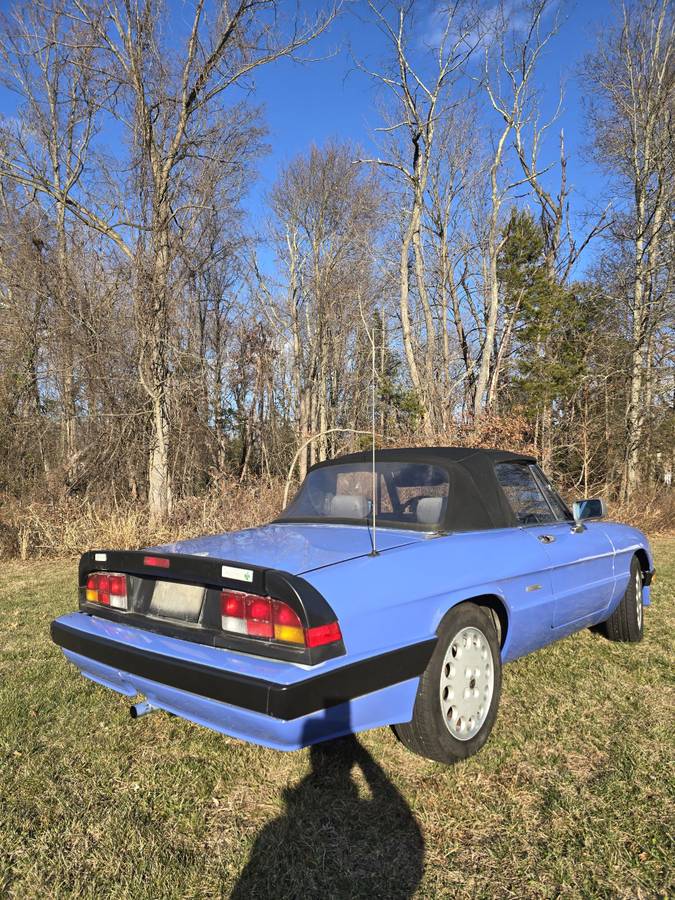 Alfa-romeo-spider-quadrifoglio-1987-blue-3