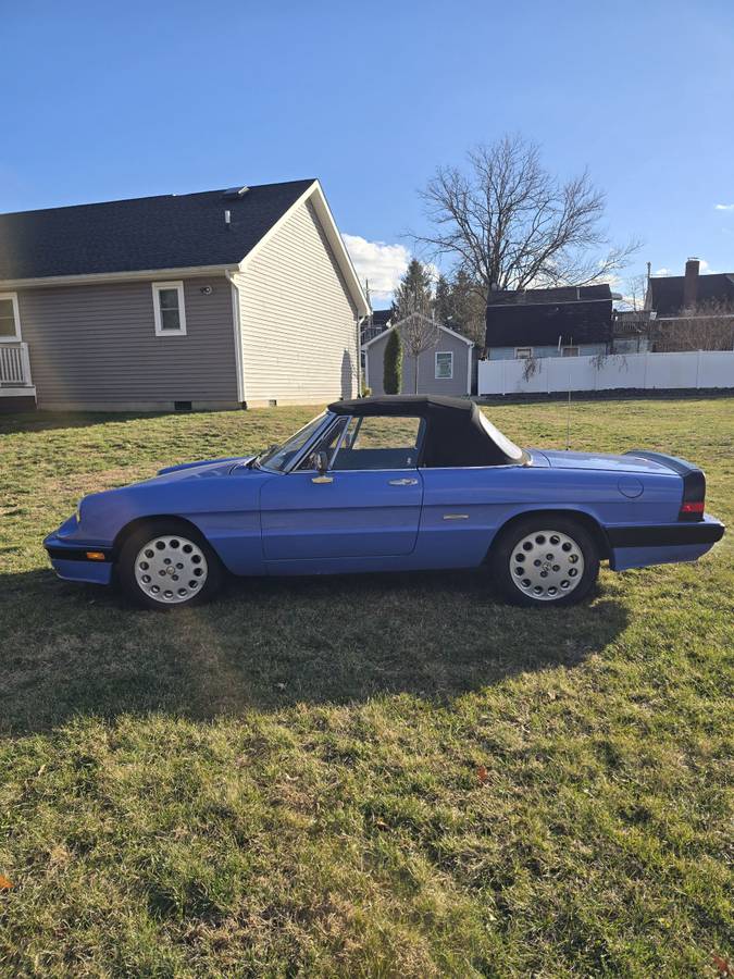 Alfa-romeo-spider-quadrifoglio-1987-blue-5