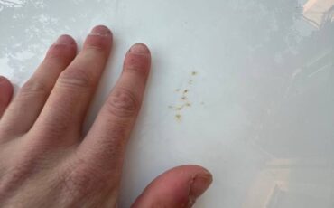 Alfa-romeo-spider-veloce-1986-white-11