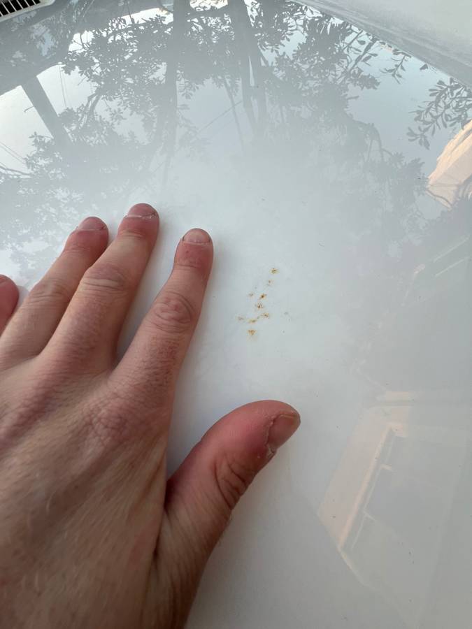 Alfa-romeo-spider-veloce-1986-white-11