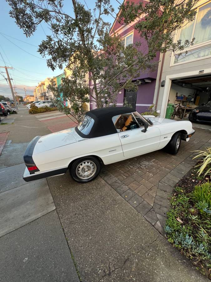 Alfa-romeo-spider-veloce-1986-white-21
