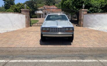 Amc-eagle-1983-silver-15