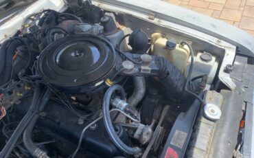 Amc-eagle-1983-silver-17