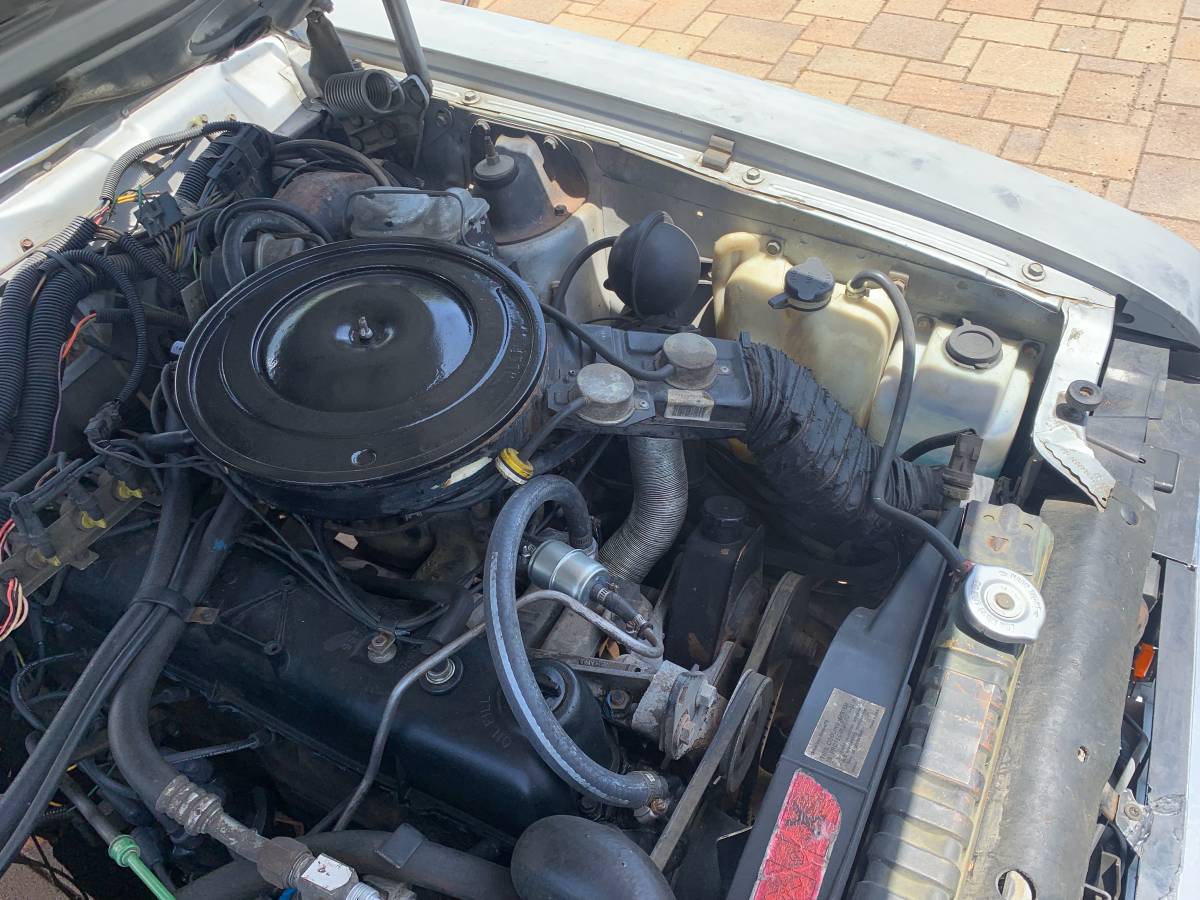 Amc-eagle-1983-silver-17