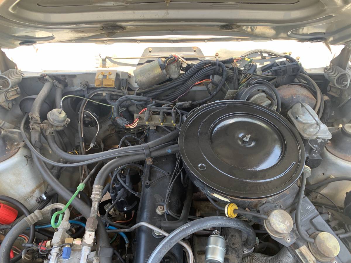 Amc-eagle-1983-silver-18