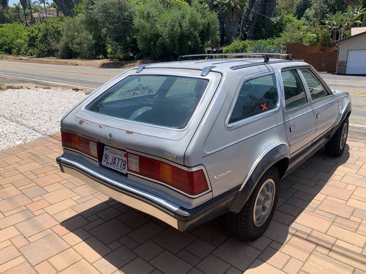 Amc-eagle-1983-silver-3