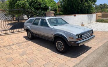 Amc-eagle-1983-silver