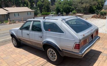 Amc-eagle-1983-silver-4