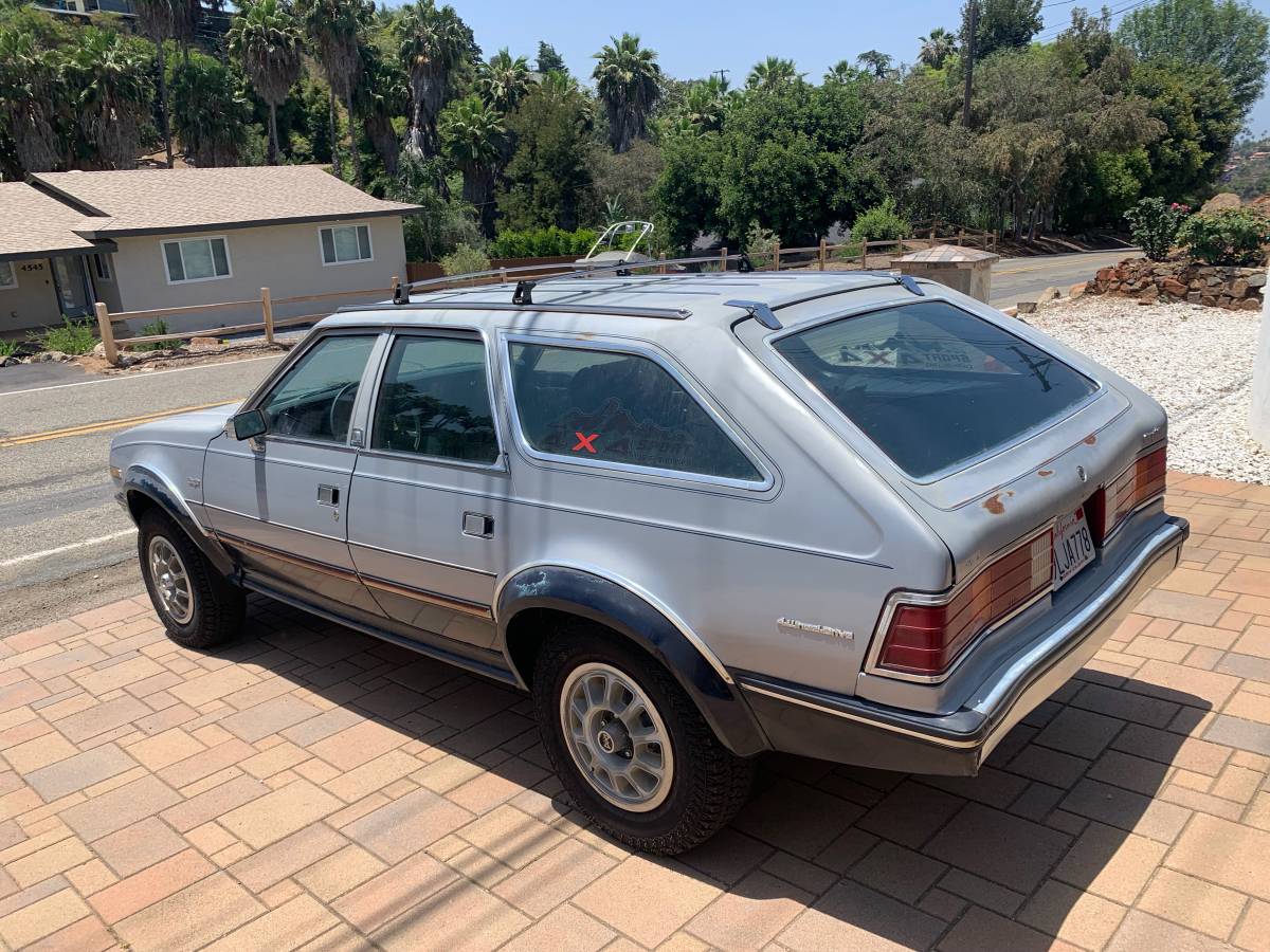 Amc-eagle-1983-silver-4