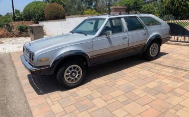 Amc-eagle-1983-silver-5