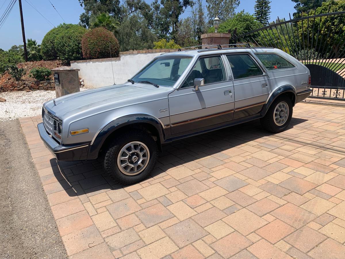 Amc-eagle-1983-silver-5