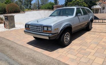 Amc-eagle-1983-silver-6