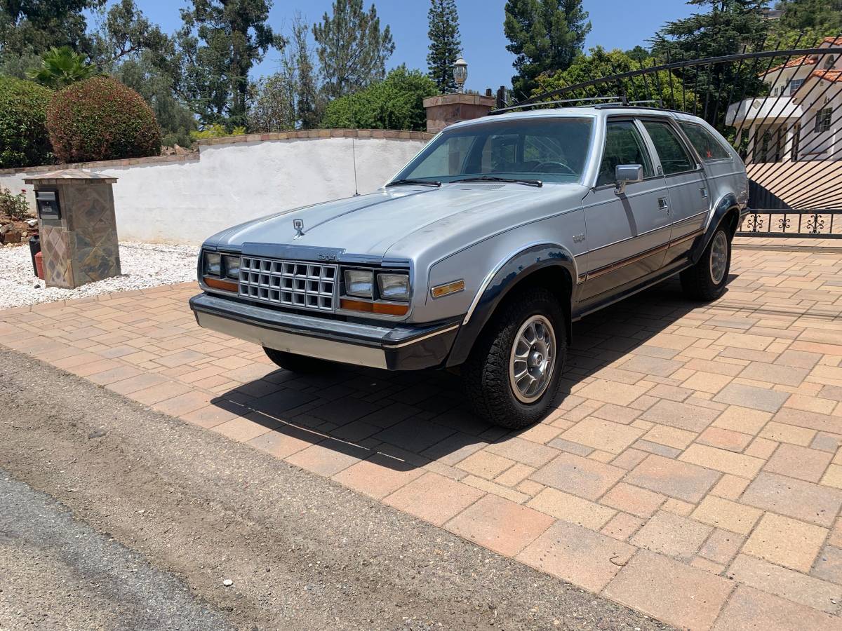 Amc-eagle-1983-silver-6