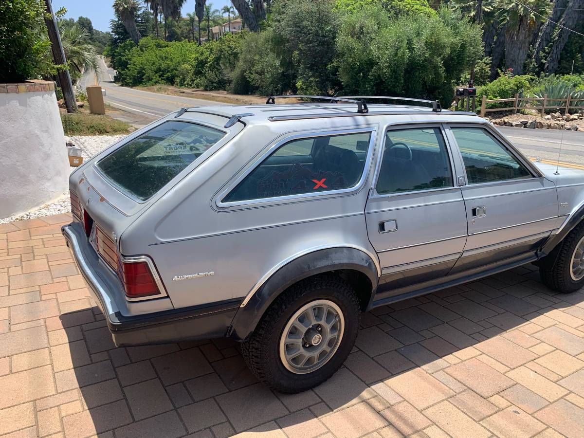 Amc-eagle-1983-silver-8