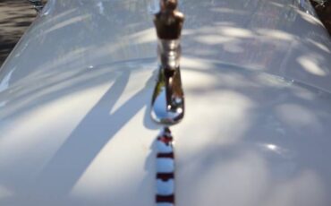 Auburn-boattail-speedster-1978-21