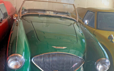Austin Healey 100-4 1954