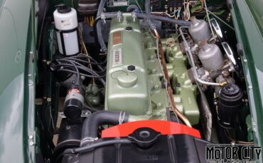 Austin-Healey-3000-1960-23
