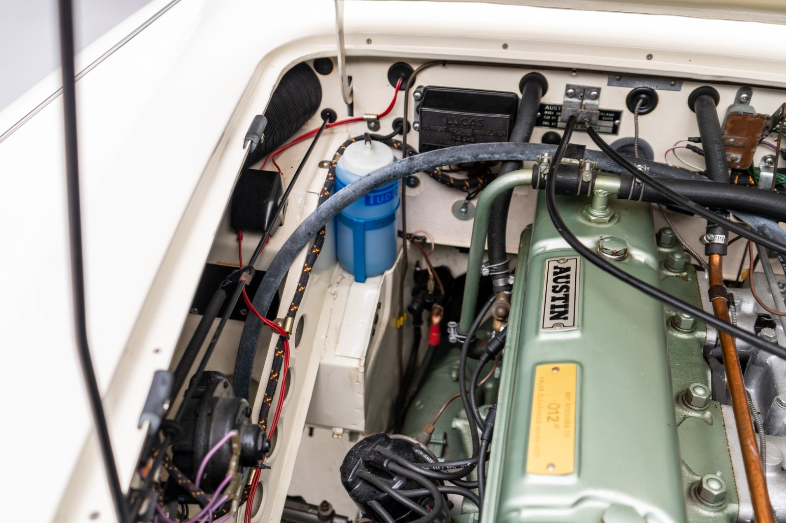 Austin-Healey-3000-1965-Convertible-19