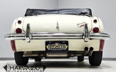 Austin-Healey-3000-1965-Convertible-21