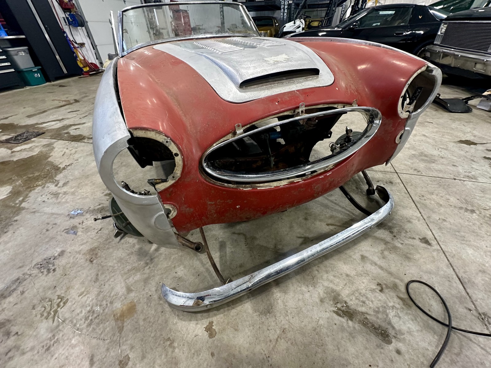 Austin-Healey-3000-1965-Convertible-28