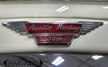 Austin-Healey-3000-1965-Convertible-28