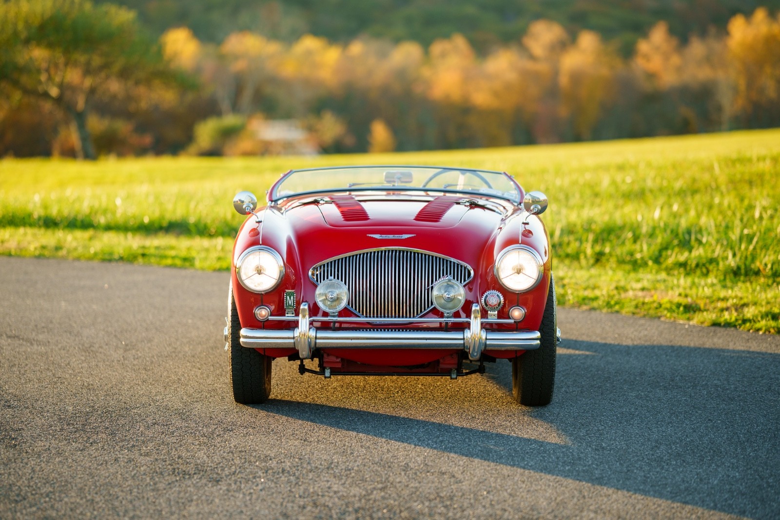 Austin-Healey-Other-1956-Convertible-1