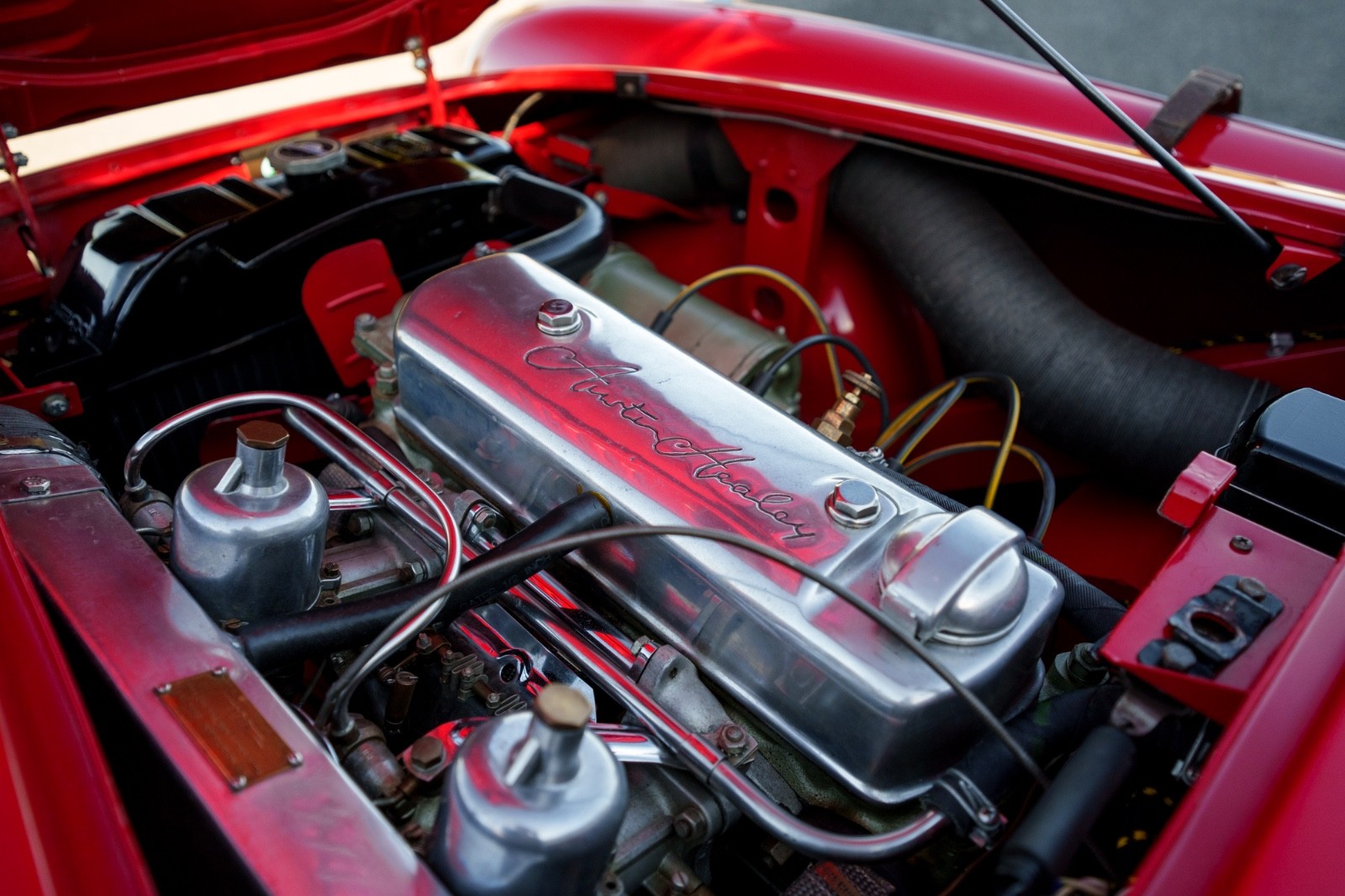 Austin-Healey-Other-1956-Convertible-10